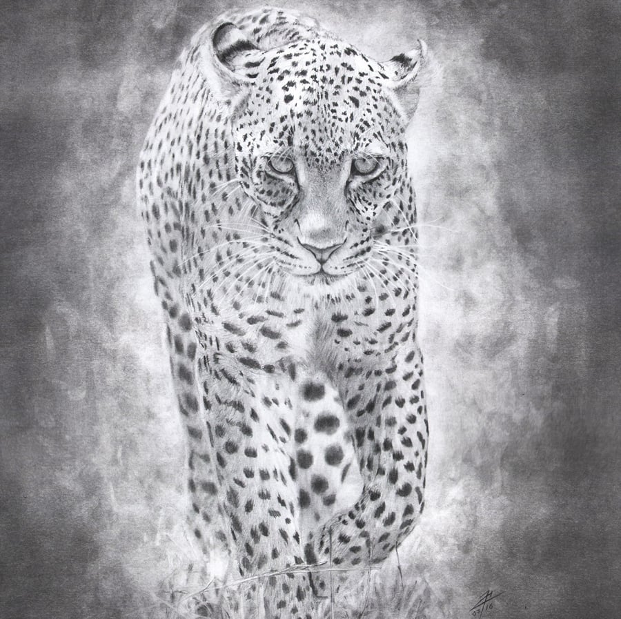 wild leopard art with pencil