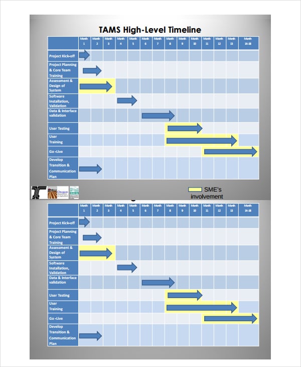Planning Timeline Template from images.template.net