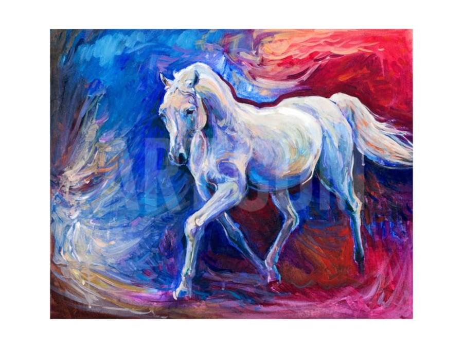 blue color horse by boyan dimitrov