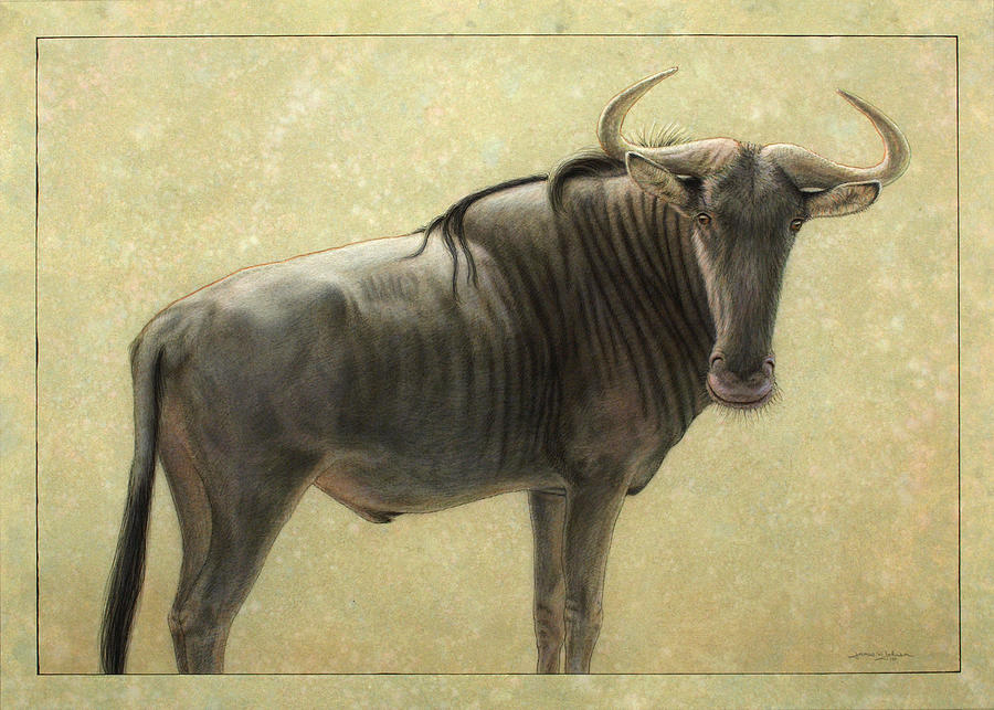 wildebeest art by james w johnson