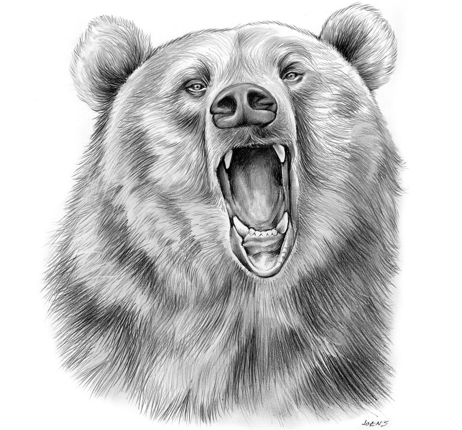 head shot of a growling bear