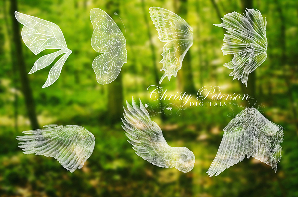download brush photoshop wings