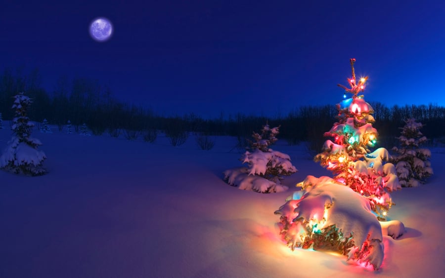 Christmas Wallpaper Background Images, HD Pictures and Wallpaper For Free  Download | Pngtree