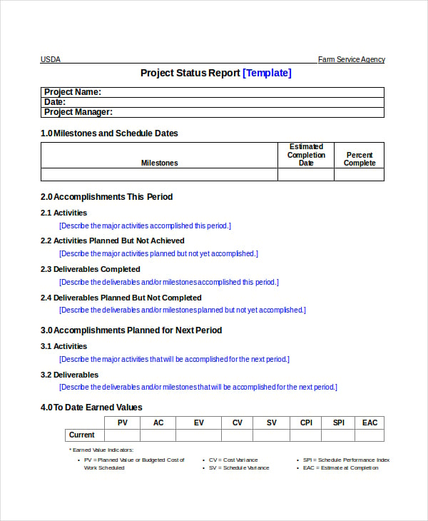 blank project status report template in word