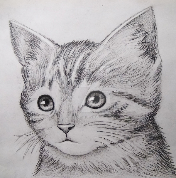 cute cat drawing