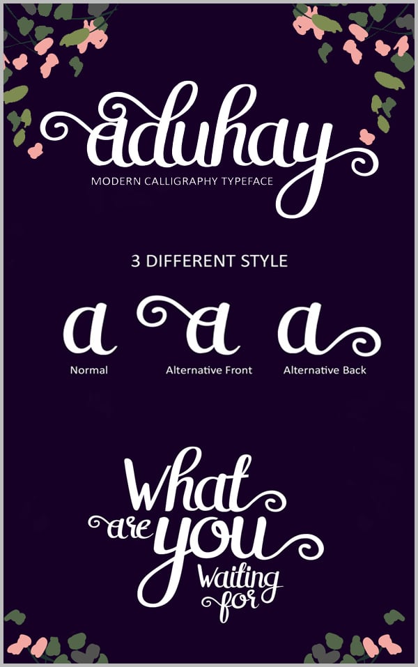 aduhay script font
