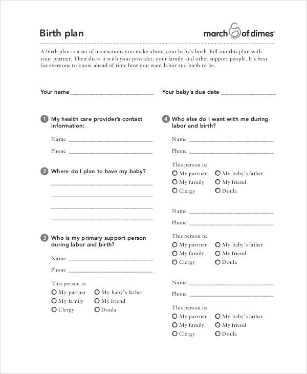 Birth Plan Template Google Docs