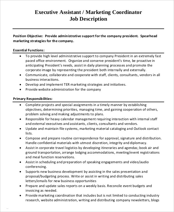 12+ Marketing Assistant Job Description Templates PDF, DOC