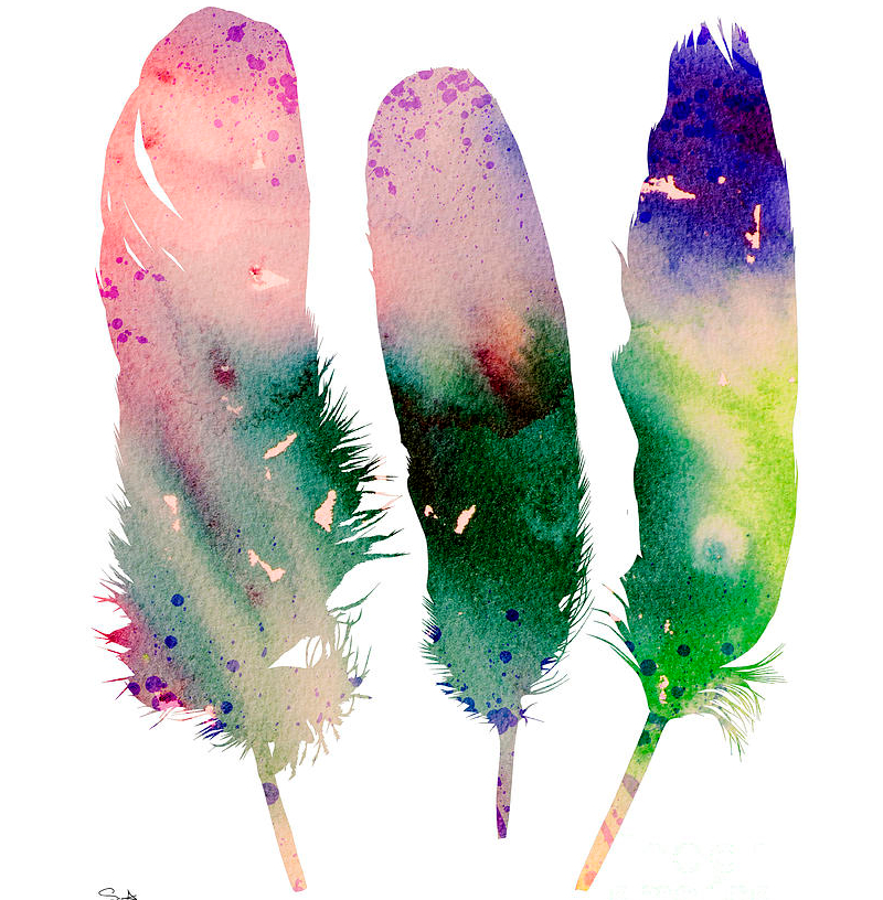 feathers paintings with water colors