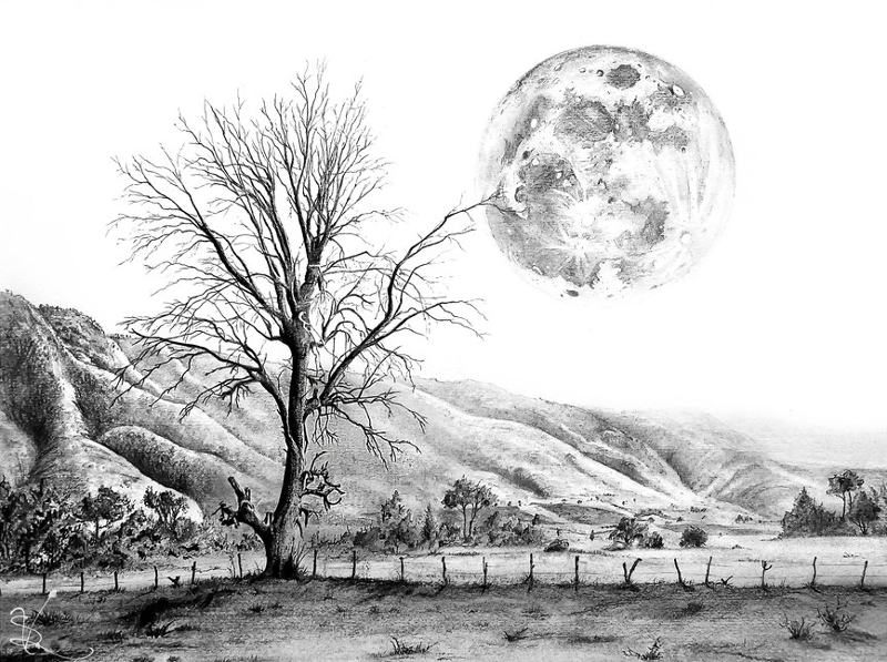 tree and the moon drawing