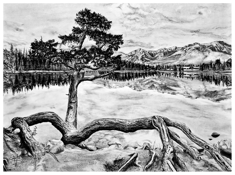 old style nature drawing