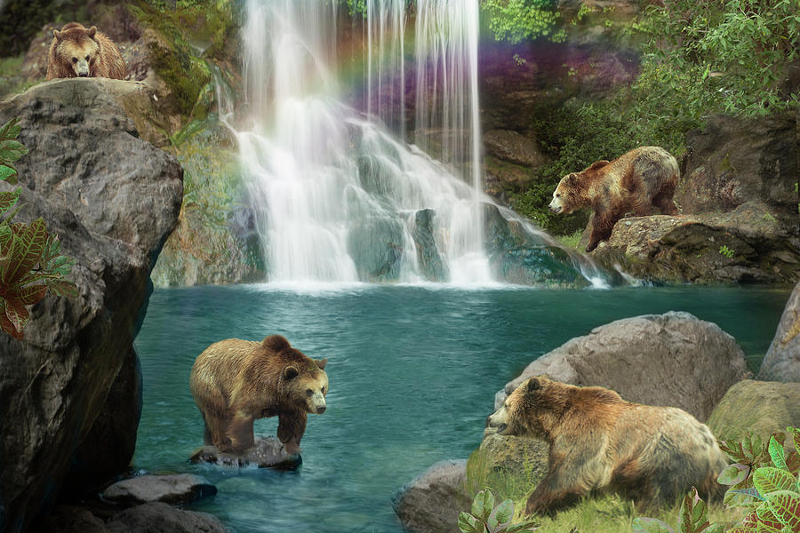 drawing of bears at waterfalls