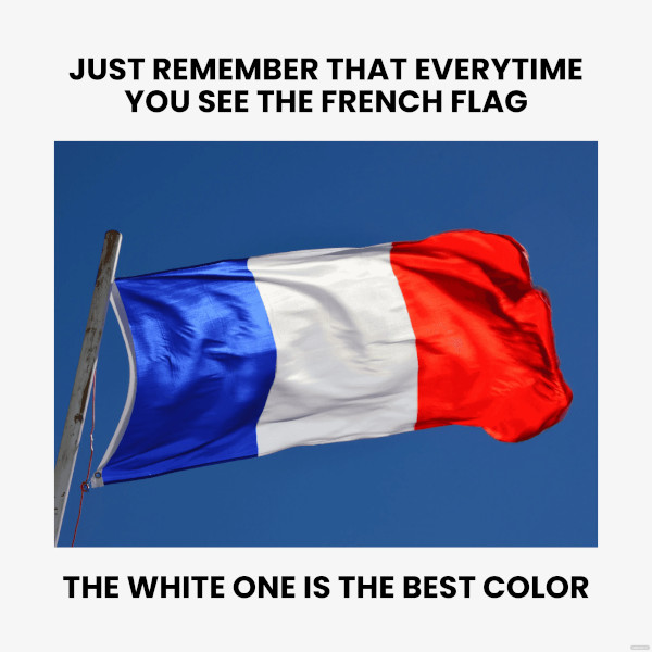 french flag meme template