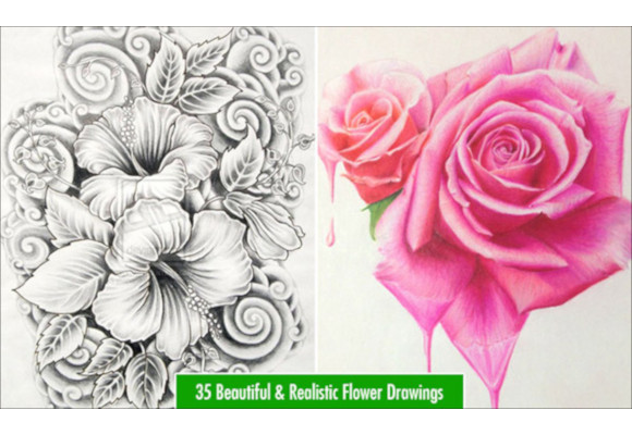 18 Rose Drawings - Free PSD Vector AI EPS Format 