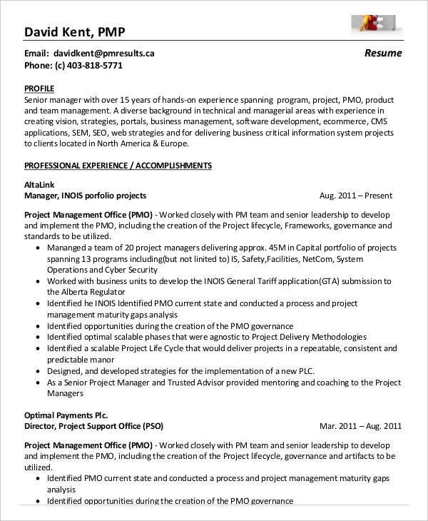 project management resume examples