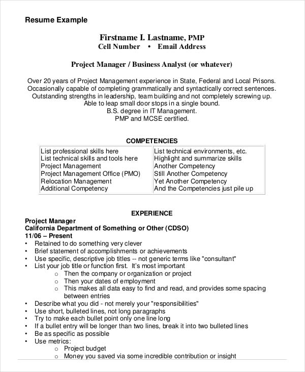 Project Management Resume Example 10 Free Word Pdf Documents