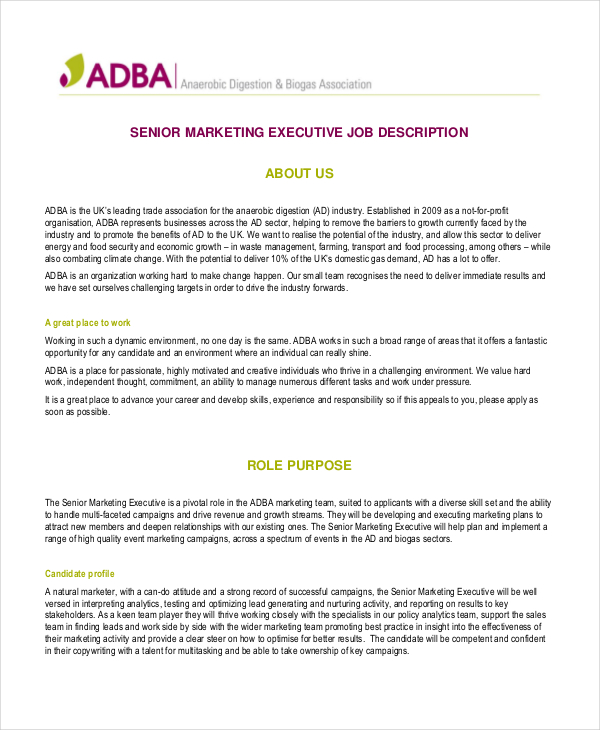 Marketing Executive Job Description Sample Master Of Template Document