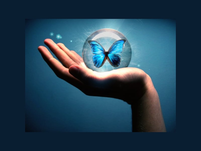 digital art of blue butterfly
