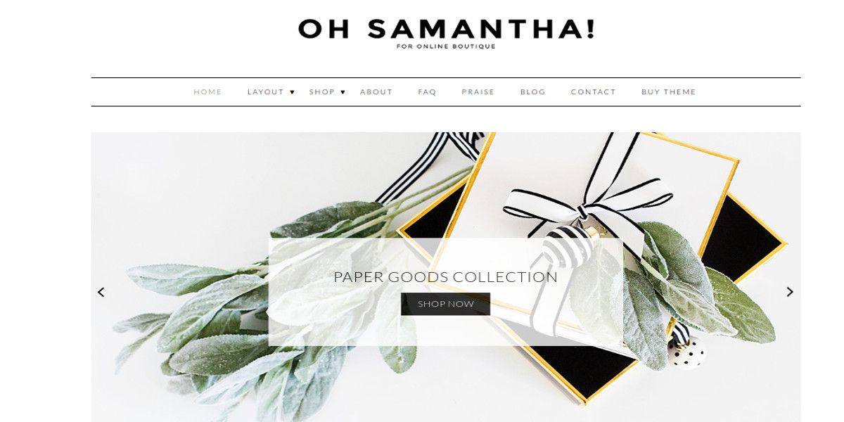 shopping cart wordpress theme for online boutiques
