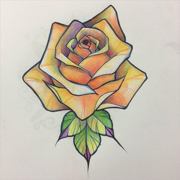 natural rose drawing