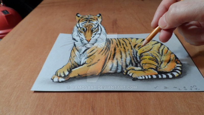 d drawing of tiger