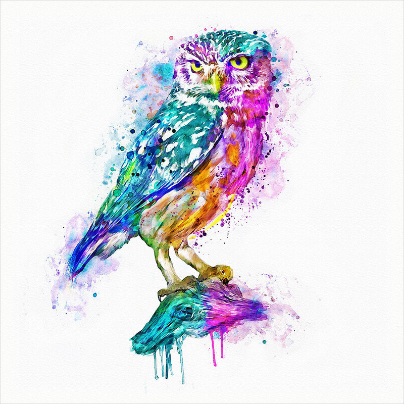 colorful owl digital art work