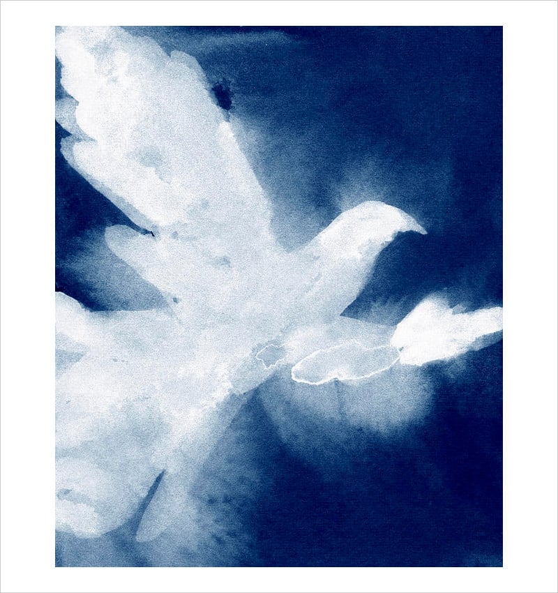 dove watercolor painting