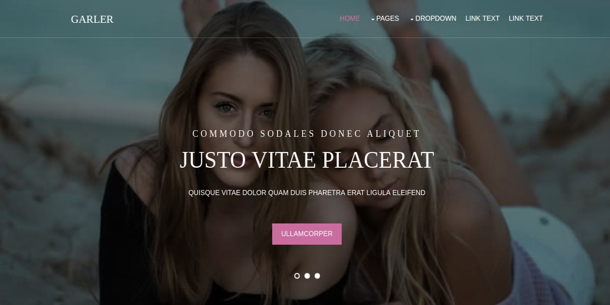 free photography website template