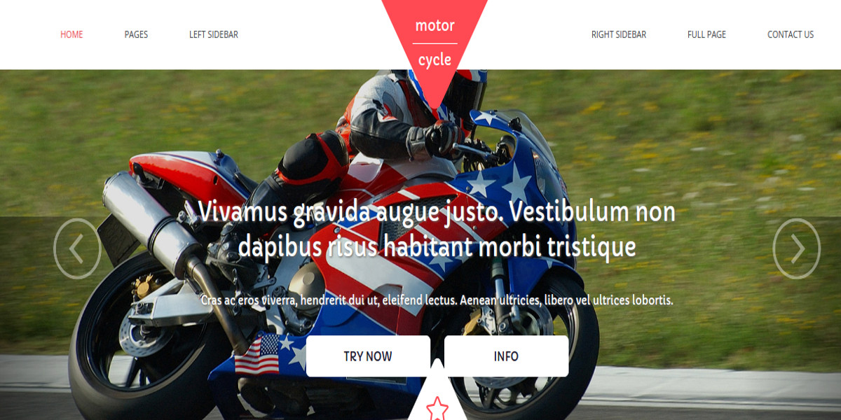 premium motorcycle website