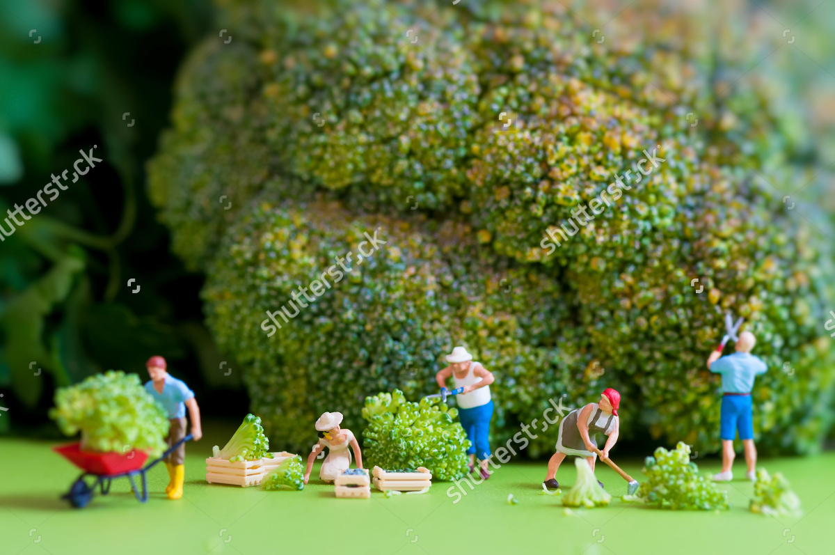 21+ Beautiful Toy Photography Examples