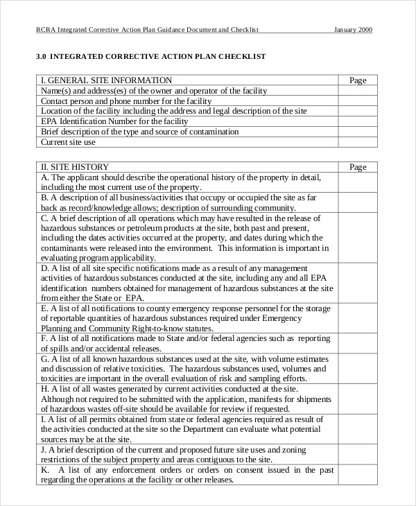 Corrective Action Plan Example 1593