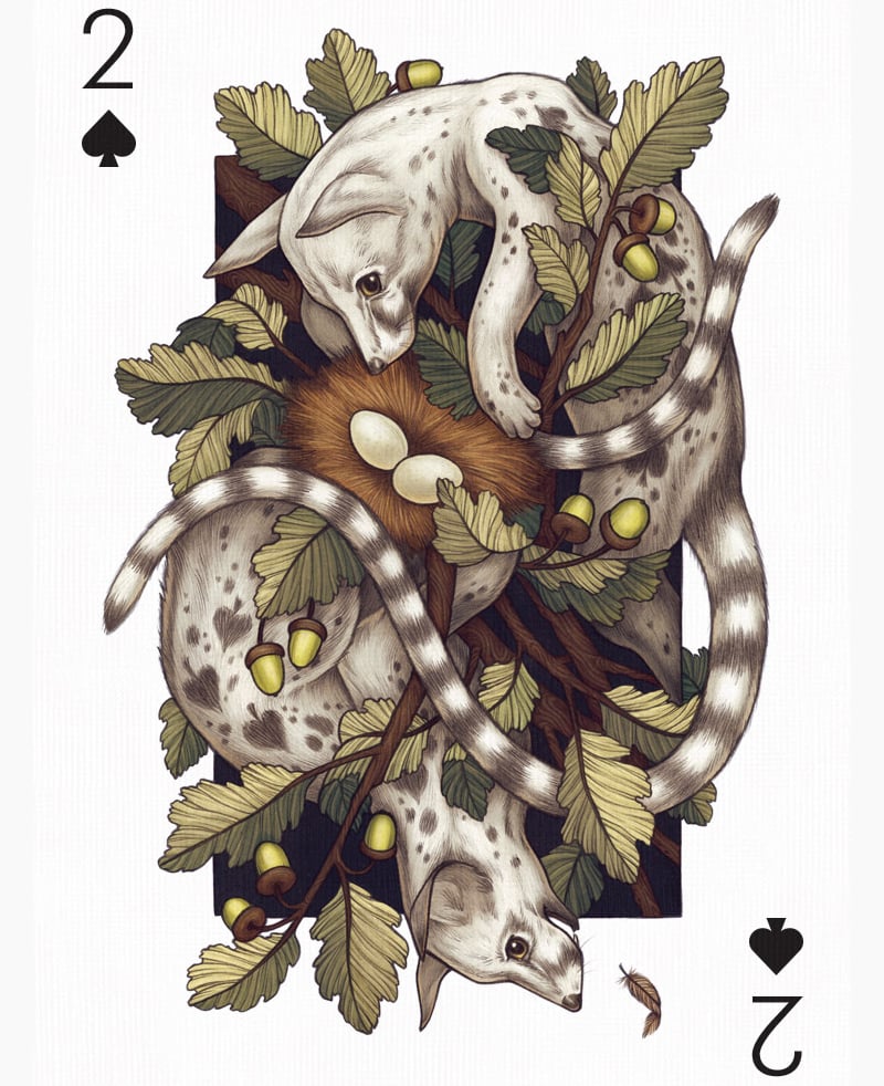 animals playing card design