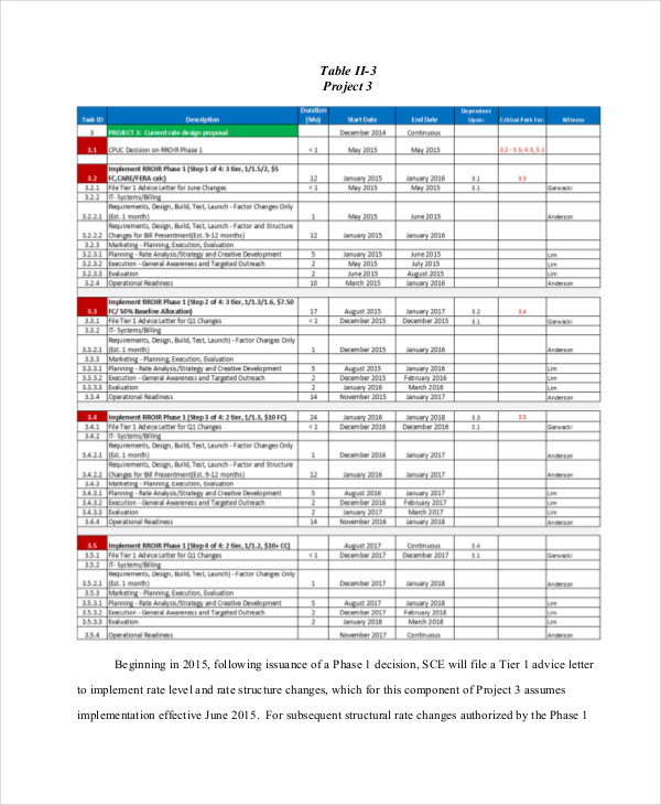 project timeline testimony example