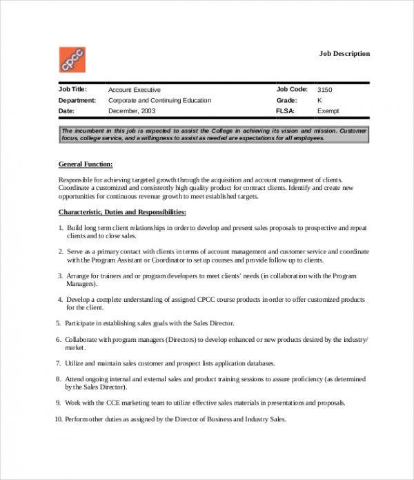 10+ IT Job Descriptions Templates PDF, DOC