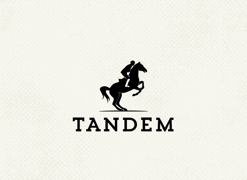 horse riding personal logo