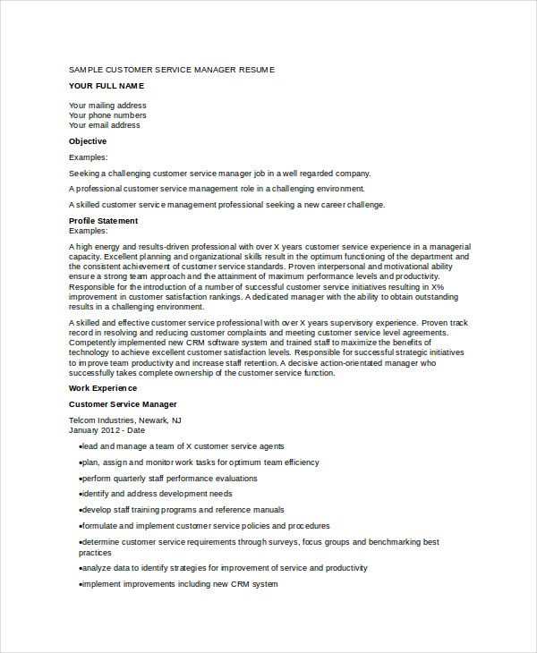 customer service manager resume in doc