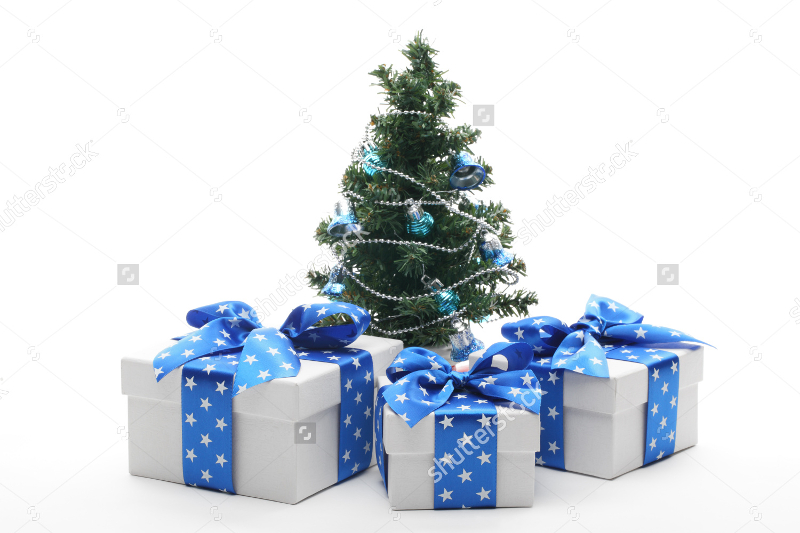 17+ Christmas Packaging Designs