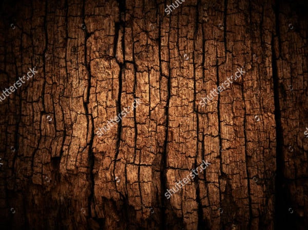 old wood cracked texture