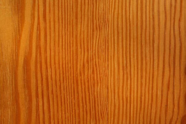 closeup wood grain plank texture