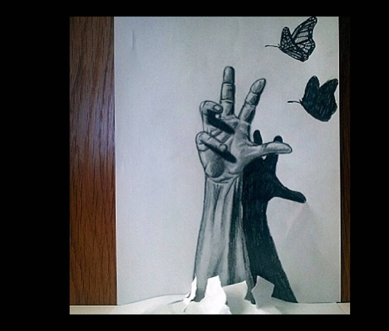 optical illusion drawing of butterfly