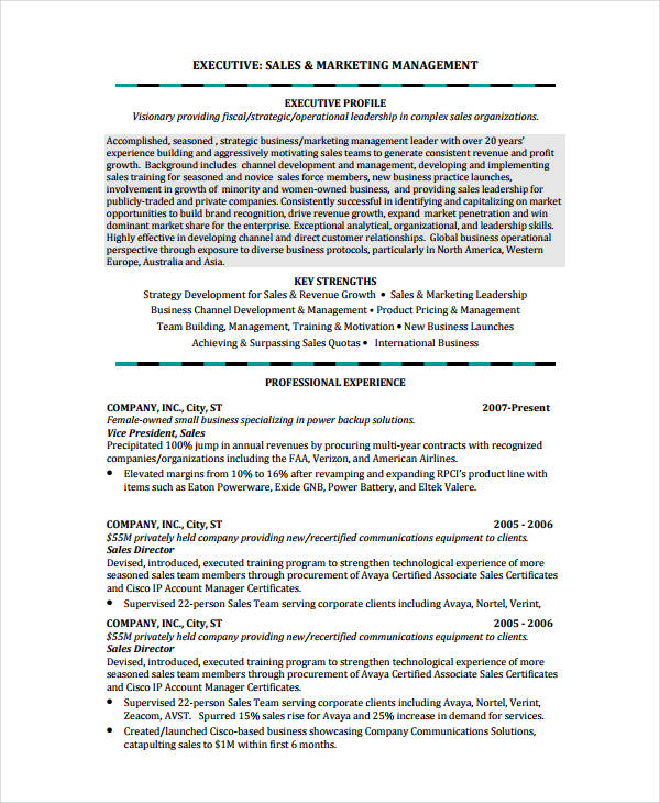 12+ Account Manager Resume Templates - PDF, DOC