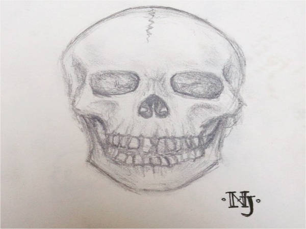 Premium Vector | Hand drawn skull sketch