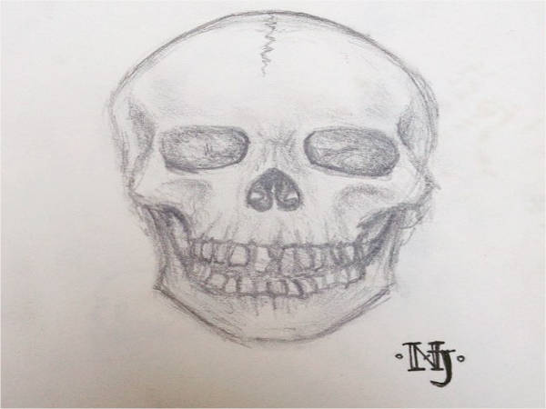 human skull drawing