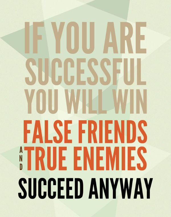 poster of succeed anyway