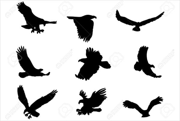 flying eagle silhouettes
