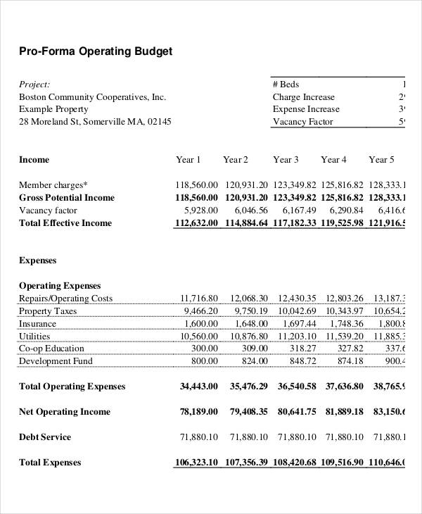 pro forma operating budget template