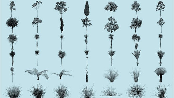 Plant Brushes - 7+ ABR Format Download | Free & Premium Templates