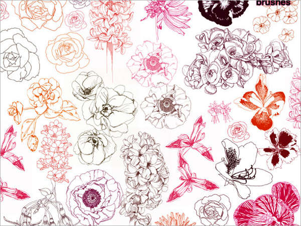 hand drawn floral brushes