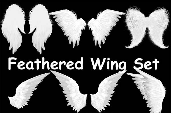 vector wings brushes
