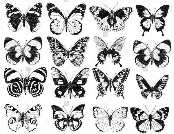 9 best butterfly silhouettes free psd vector eps